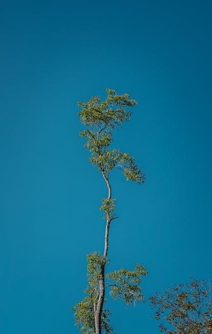 the growth matrix pdf free the growth matrix pdf free