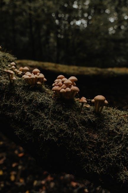 vfr navigation log pdf vfr navigation log pdf