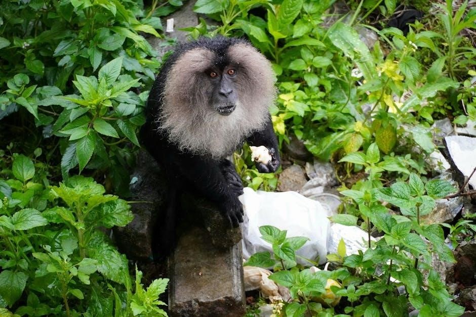 narayaneeyam tamil pdf