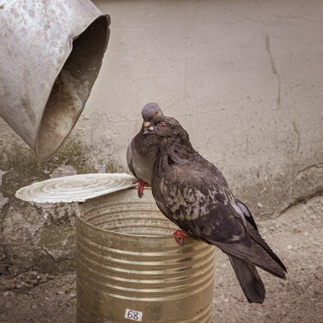 mr brown can moo pdf mr brown can moo pdf